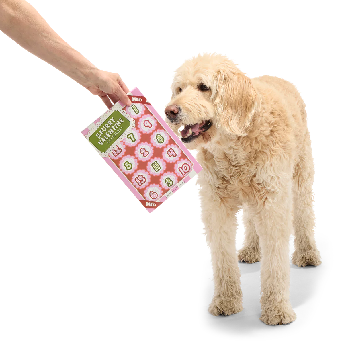 Be My Furry Valentine Treat Calendar Vegetarian Hard & Crunchy Dog Treats - Image 5