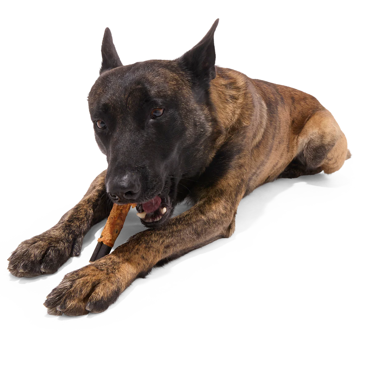 Variety Pack Collagen Dog Chews, 3 Ct - Image 3
