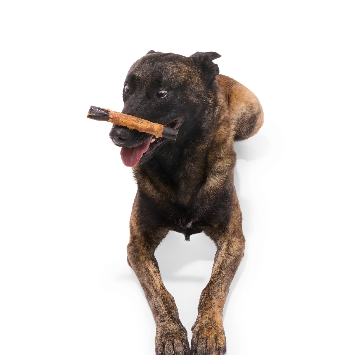 Variety Pack Collagen Dog Chews, 3 Ct - Image 4