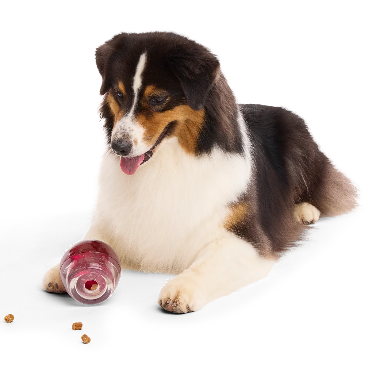 Vino Vidi Vici Super Chewer Durable Enrichment Dog Toy - Image 4