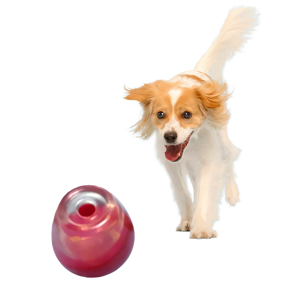 Vino Vidi Vici Super Chewer Durable Enrichment Dog Toy - Image 6