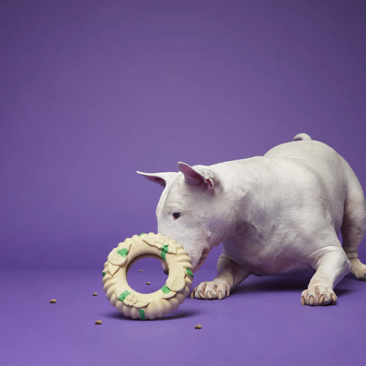 Virgo Ring Toss Super Chewer Durable Enrichment Dog Toy - Image 4