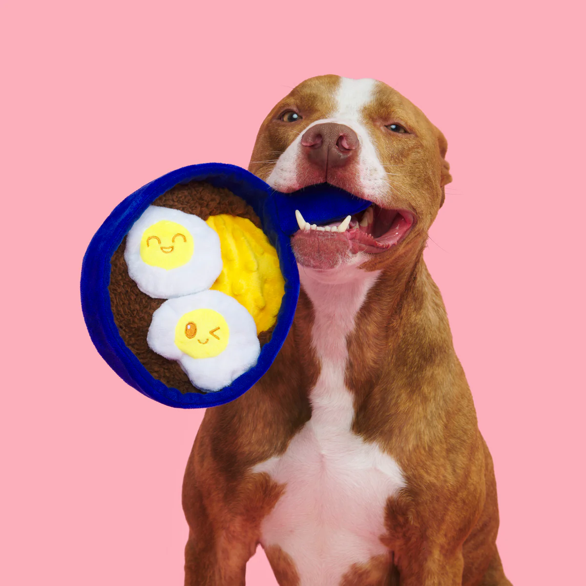 Waggos Rancheros Plush Tug Dog Toy - Image 3