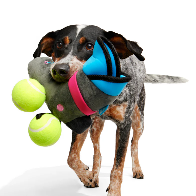 Way Rad Rollerblades Plush Tug Dog Toy - Image 2