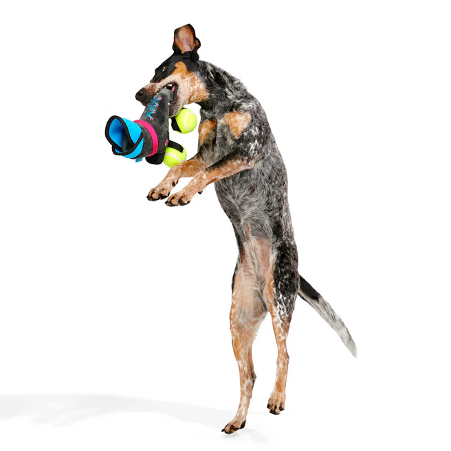 Way Rad Rollerblades Plush Tug Dog Toy - Image 5