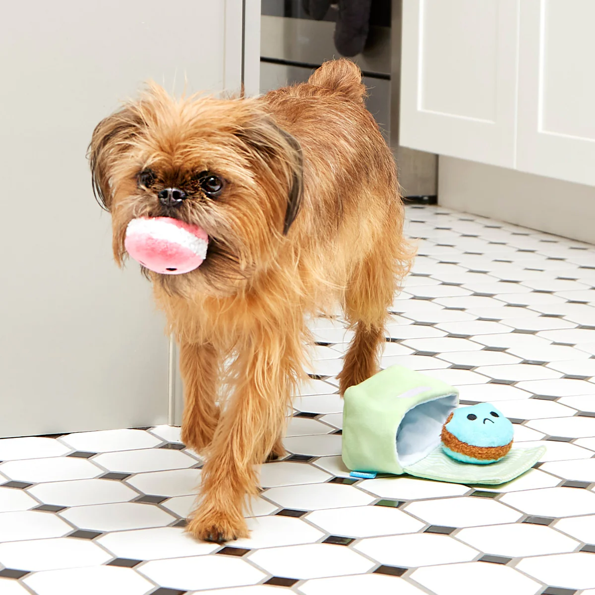 Wee Wee Macaroon Plush Multi-Part + Enrichment Dog Toy - Image 4