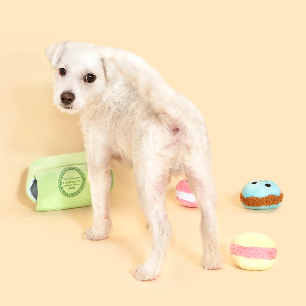 Wee Wee Macaroon Plush Multi-Part + Enrichment Dog Toy - Image 6