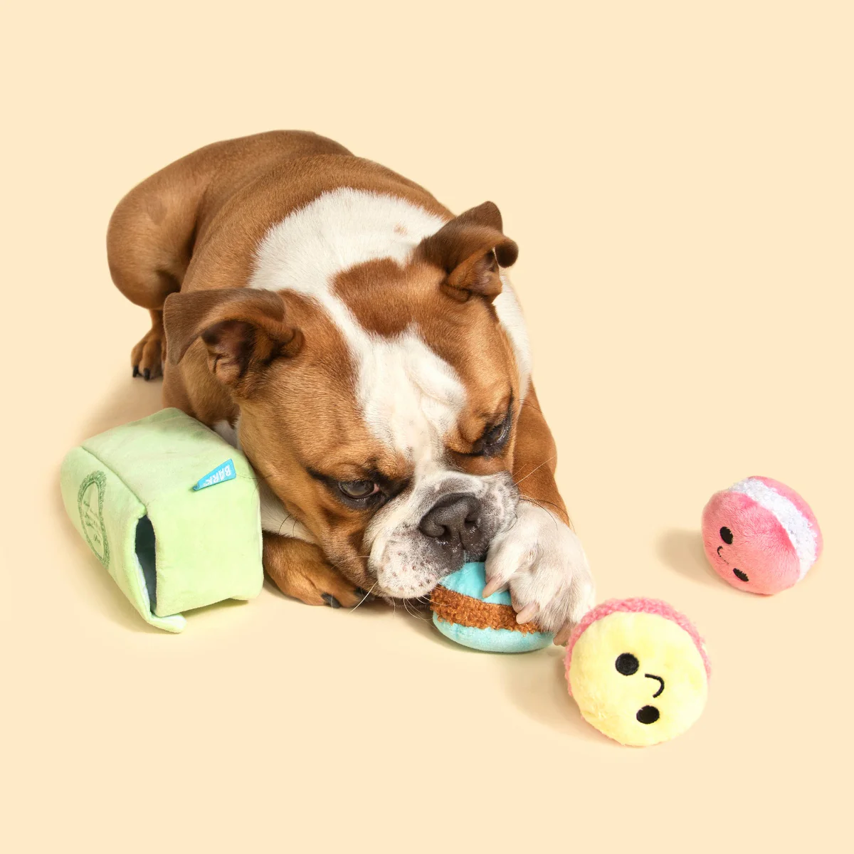 Wee Wee Macaroon Plush Multi-Part + Enrichment Dog Toy - Image 7