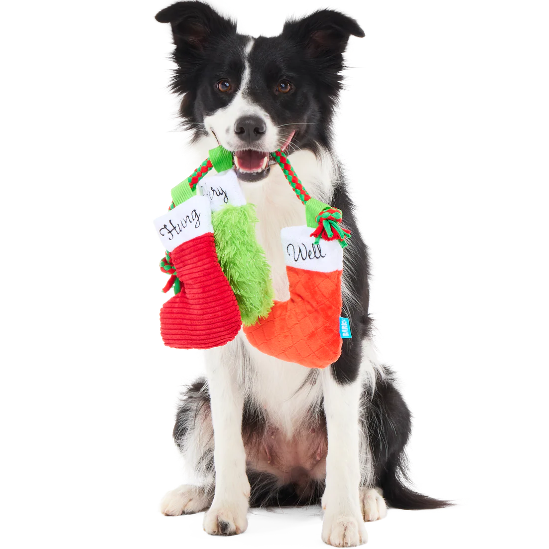 Well Hung Stockings Plush Tug Dog Toy - Image 2