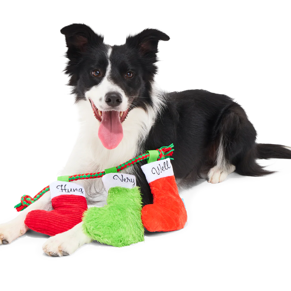 Well Hung Stockings Plush Tug Dog Toy - Image 3