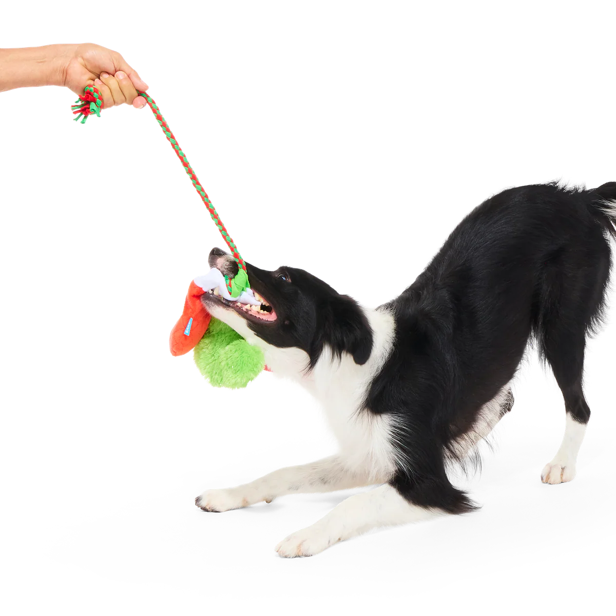 Well Hung Stockings Plush Tug Dog Toy - Image 4