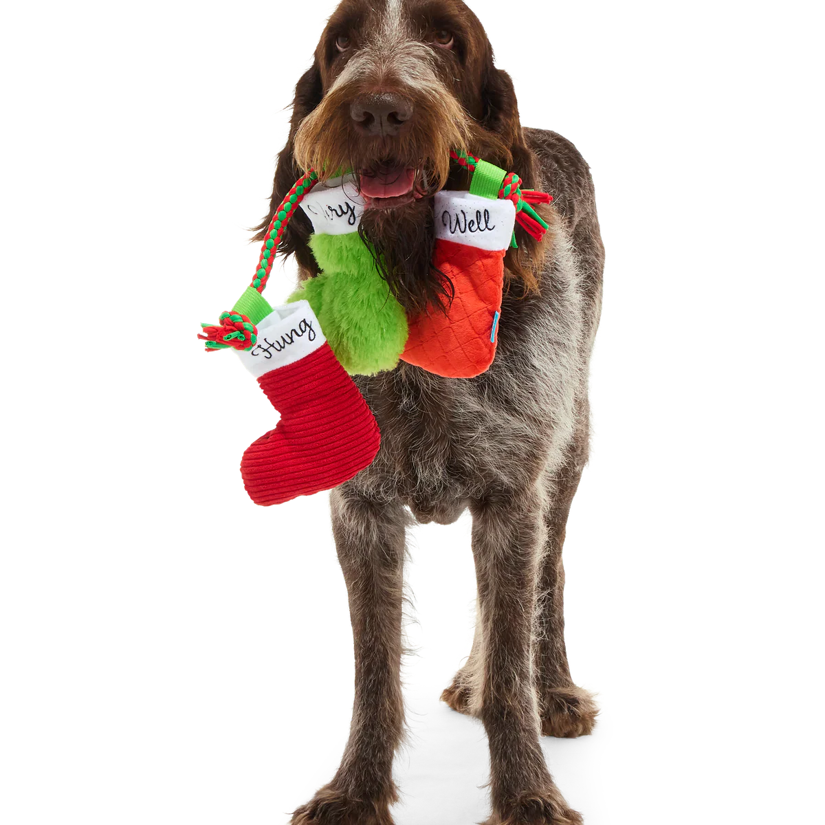 Well Hung Stockings Plush Tug Dog Toy - Image 7