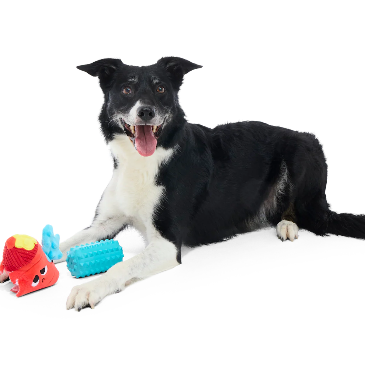 Wetted Willie Super Chewer Durable 2-in-1 Dog Toy - Image 3