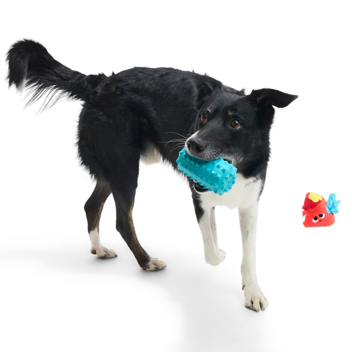 Wetted Willie Super Chewer Durable 2-in-1 Dog Toy - Image 4