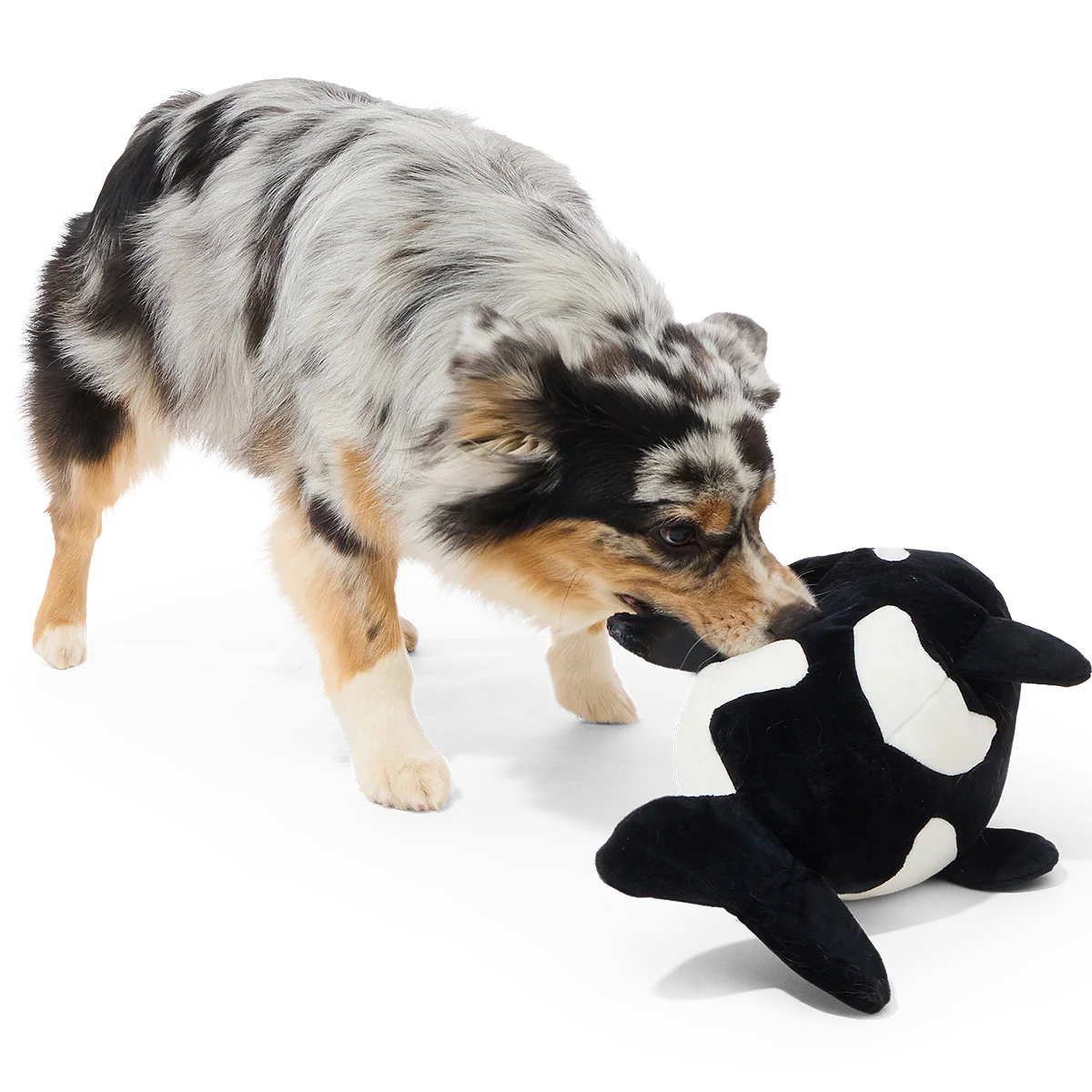 Whale Woofing Plush Extra-Large + Tug Dog Toy - Image 3
