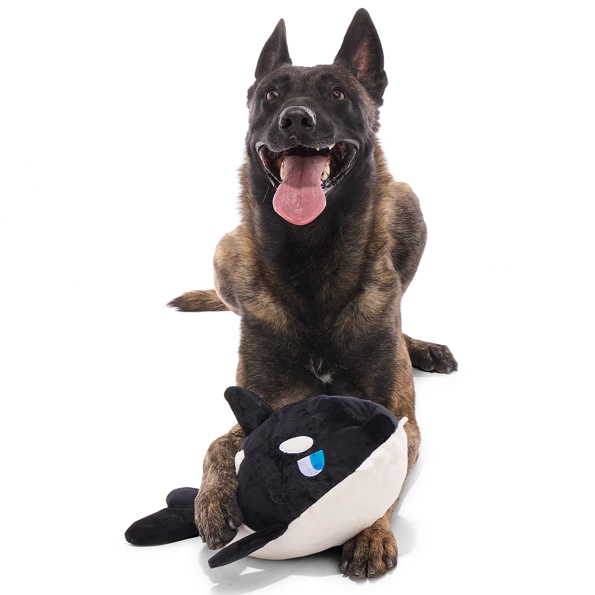 Whale Woofing Plush Extra-Large + Tug Dog Toy - Image 4