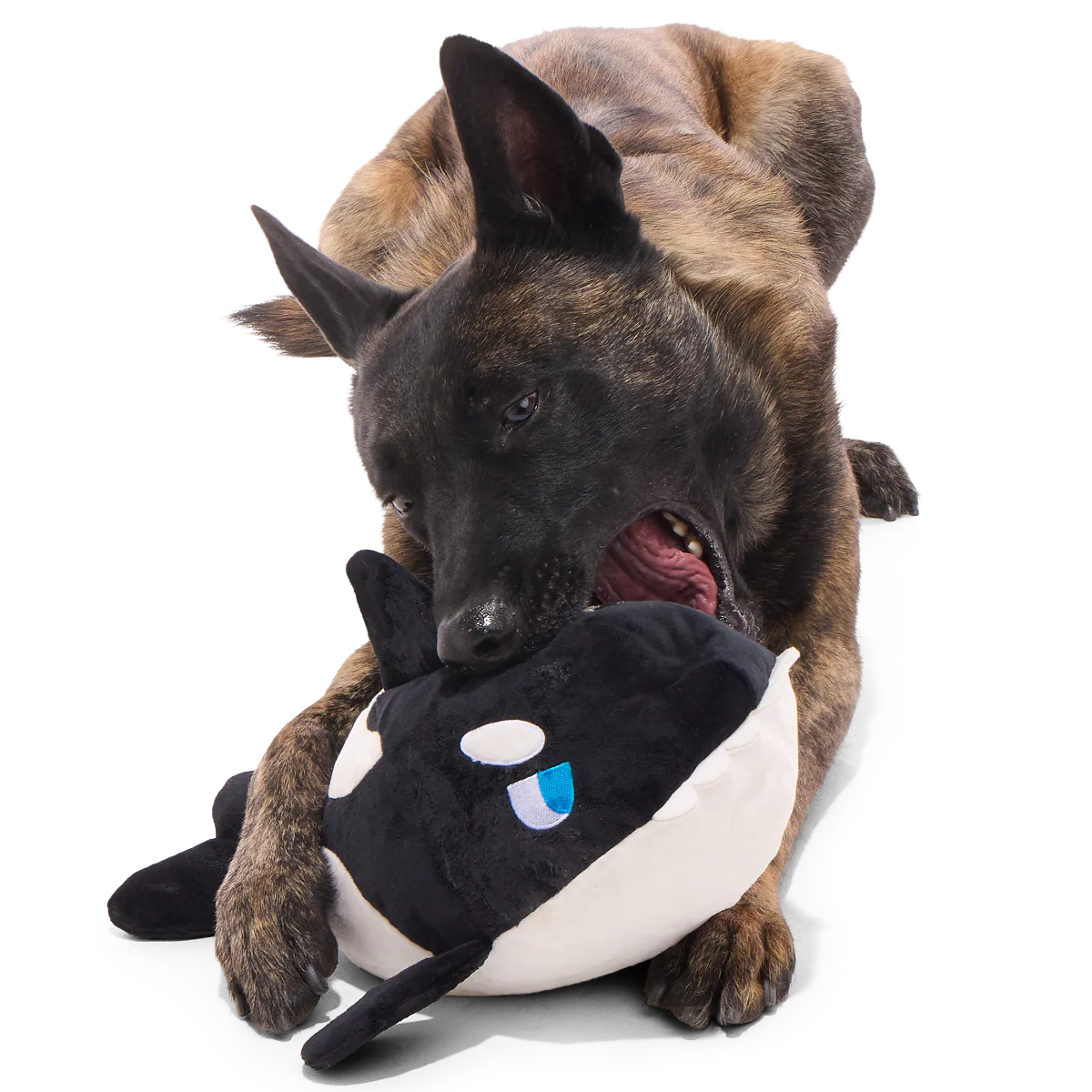 Whale Woofing Plush Extra-Large + Tug Dog Toy - Image 5
