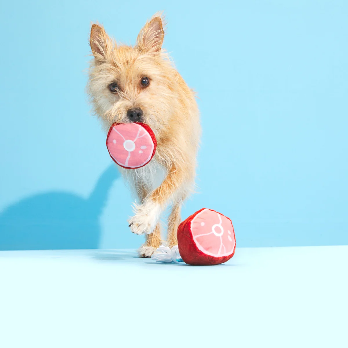 Wham Bam Ham Plush Tug Dog Toy - Image 2