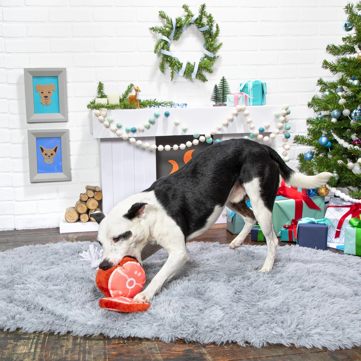 Wham Bam Ham Plush Tug Dog Toy - Image 3