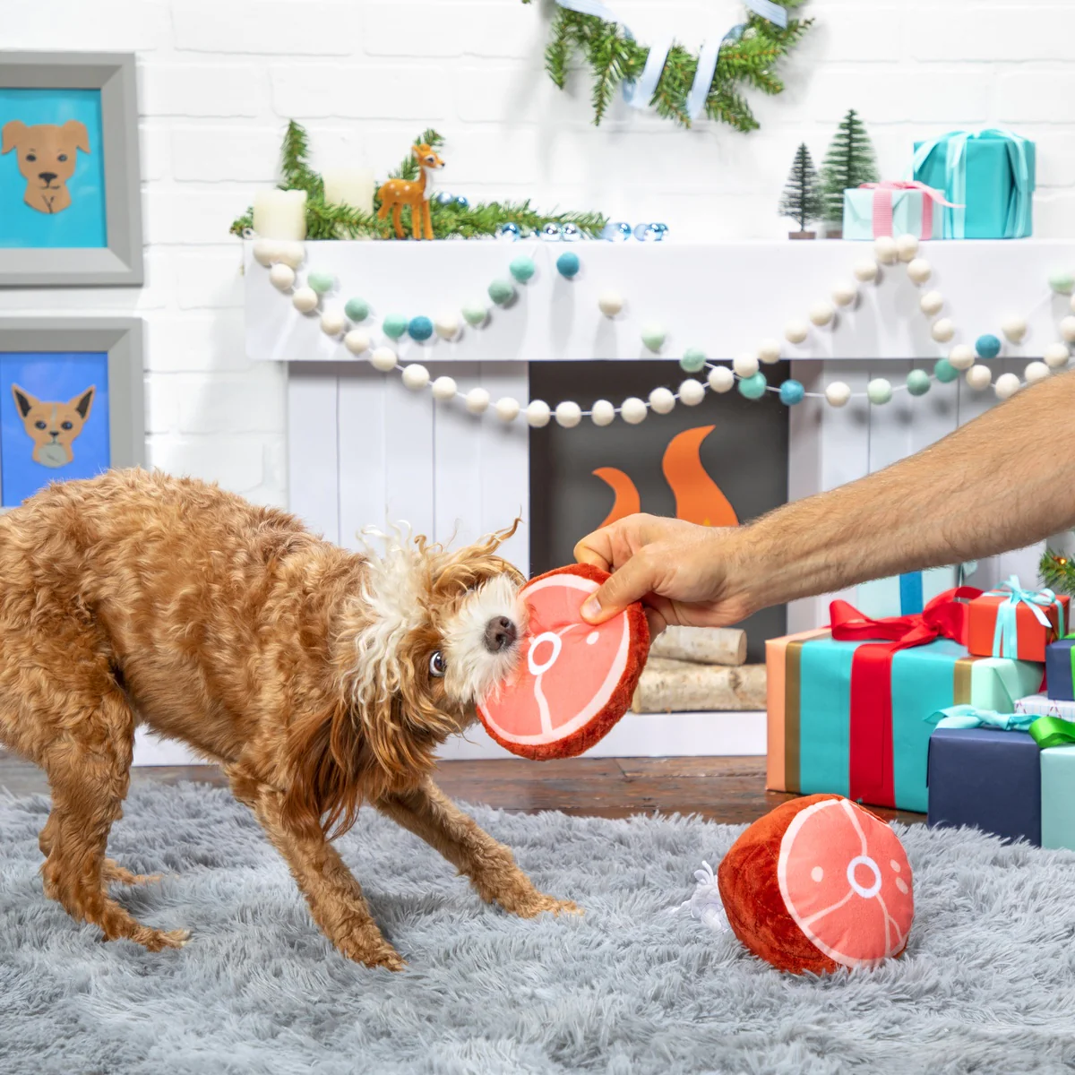 Wham Bam Ham Plush Tug Dog Toy - Image 4