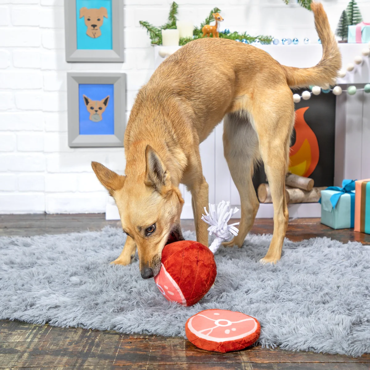 Wham Bam Ham Plush Tug Dog Toy - Image 5