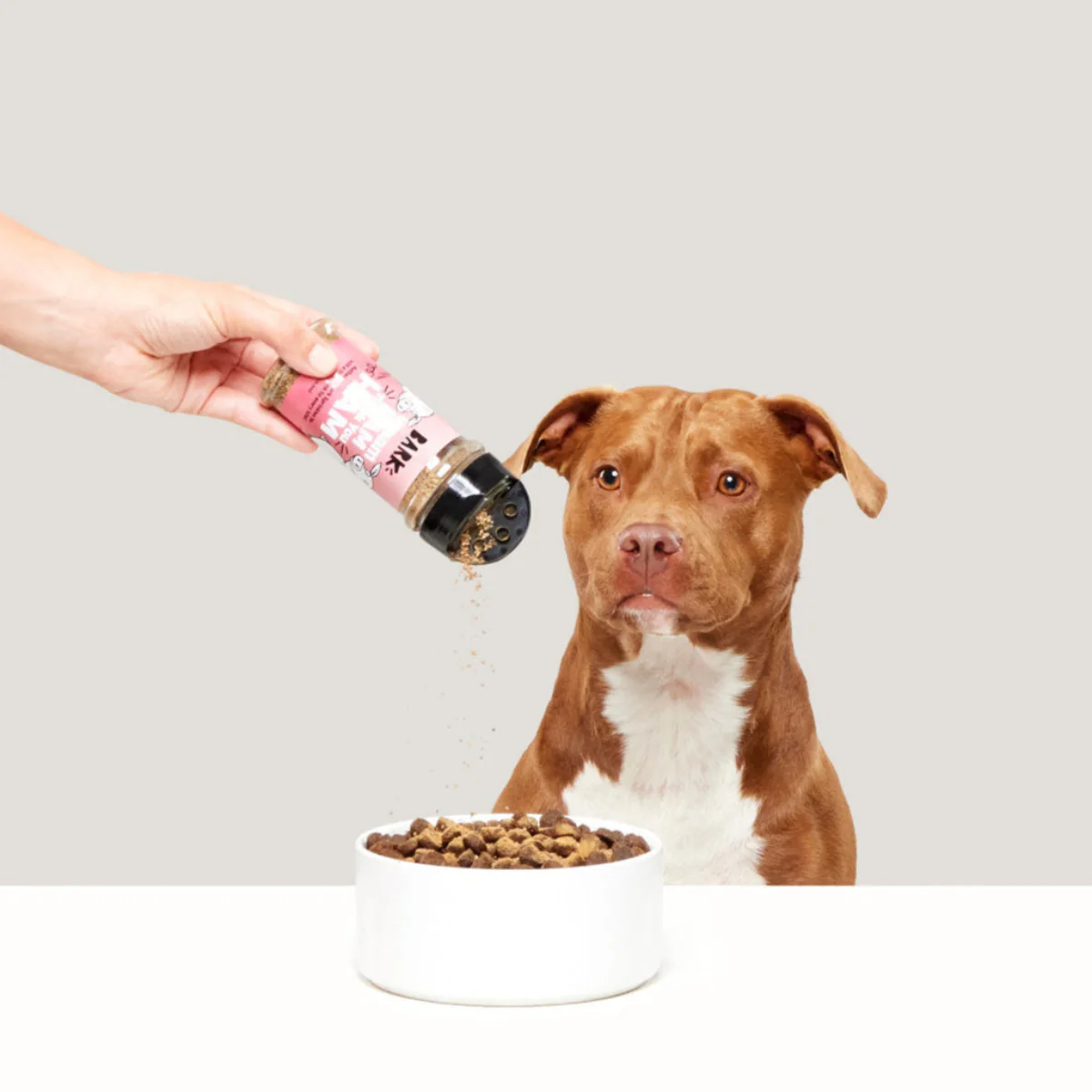 Wham Bam Thank You Ham Pork Dog Food Meal Topper, 4.6 oz - Image 6