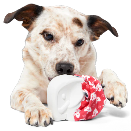 White Smellephant Durable Super Chewer 2-in-1 Rip and Reveal Dog Toy - Image 4
