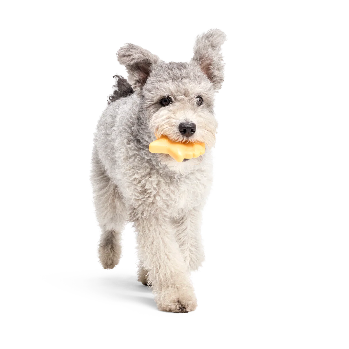 Woodstock's Star Super Chewer Durable Gnaw Dog Toy - Image 2
