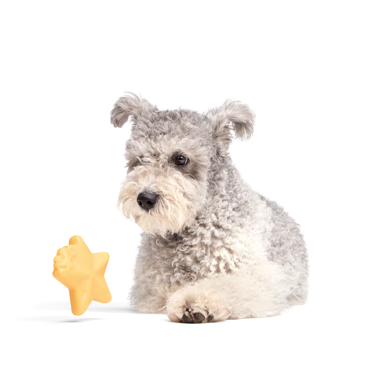 Woodstock's Star Super Chewer Durable Gnaw Dog Toy - Image 3