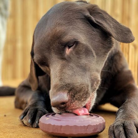 Woof Woof Wood Slice Durable Super Chewer Dog Toy - Image 2