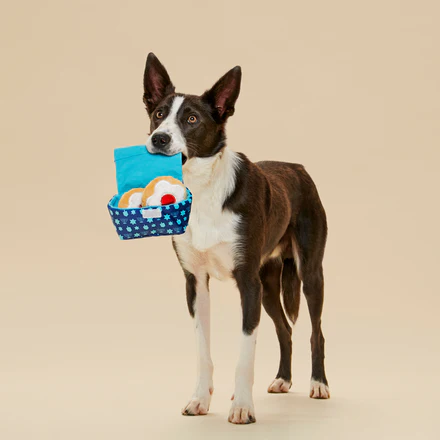 Woofganiyot Hanukkah Plush Multi-Part + Enrichment Dog Toy - Image 6