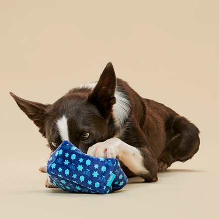 Woofganiyot Hanukkah Plush Multi-Part + Enrichment Dog Toy - Image 7