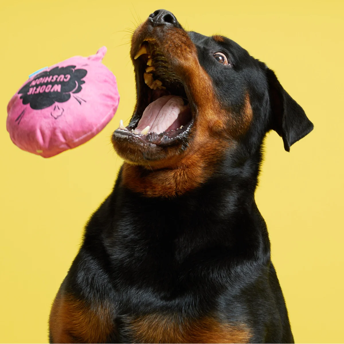 Woofie Cushion - Image 3