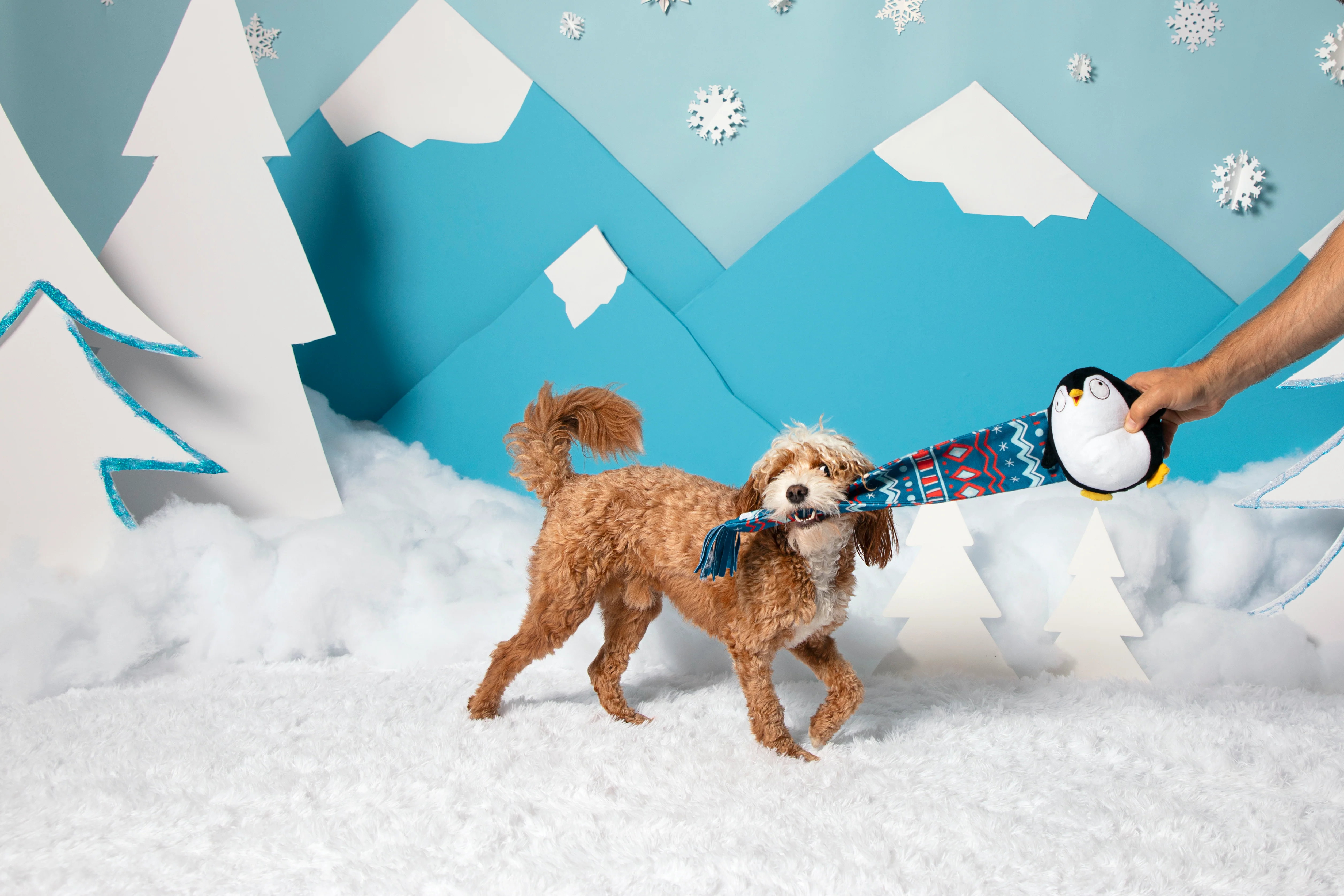 Wooly Willy Plush Tug Dog Toy - Image 3