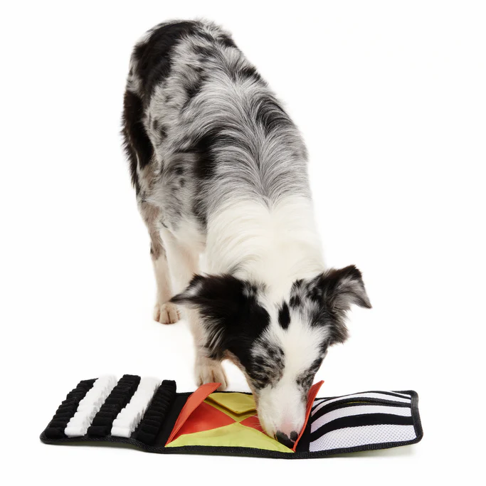 World Pup Rufferee Kit Plush Enrichment Dog Toy - Image 2