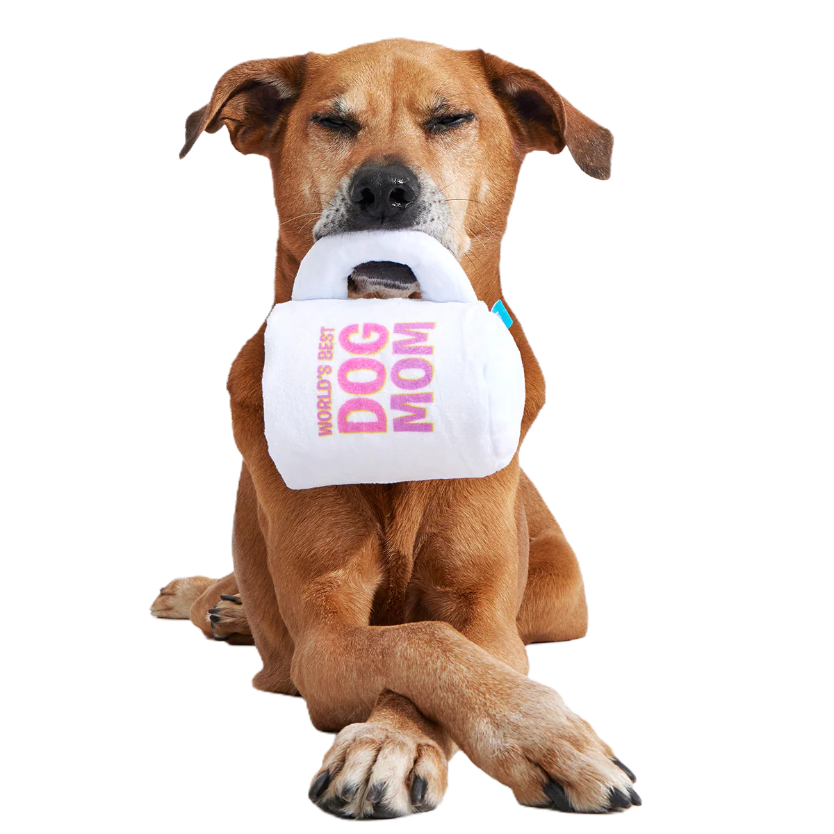 World's Best Dog Mom Mug Plush Tug Dog Toy - Image 2