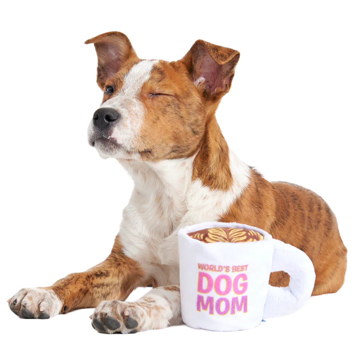 World's Best Dog Mom Mug Plush Tug Dog Toy - Image 4