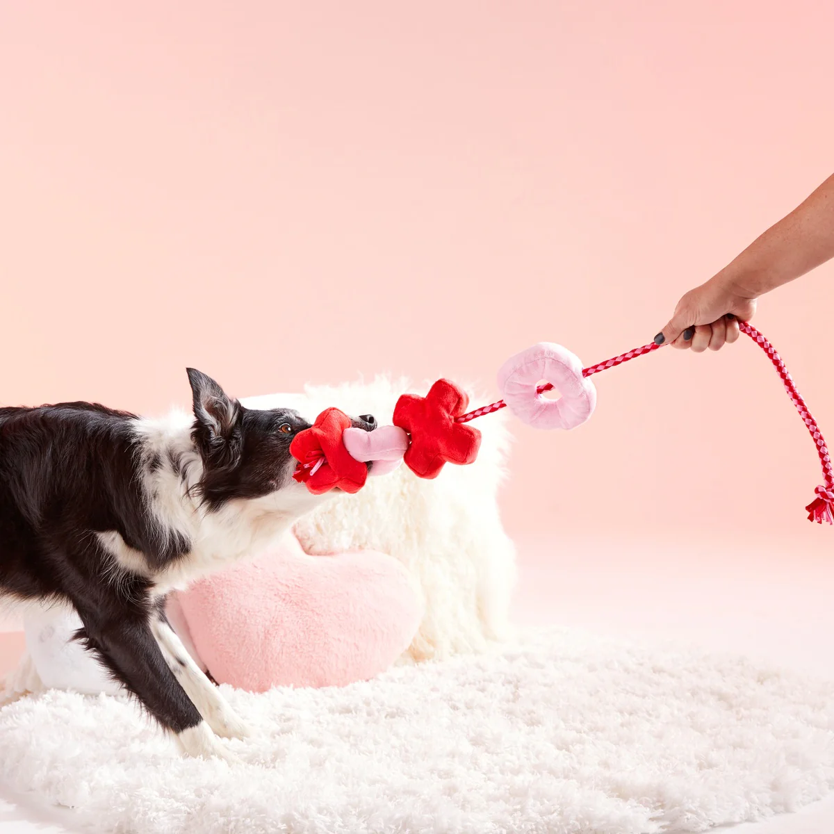 XOXO Rope Tug Plush Tug Dog Toy - Image 3