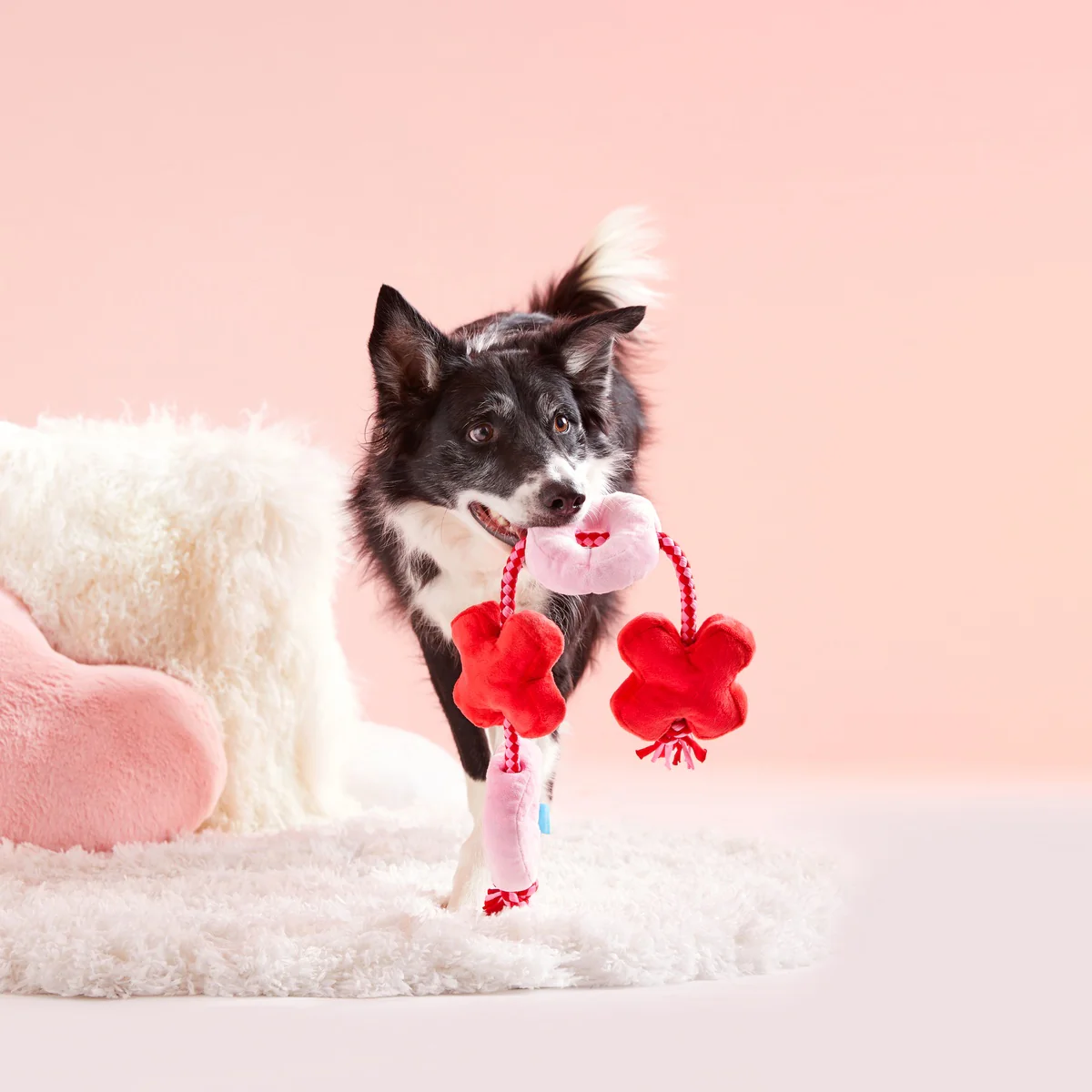 XOXO Rope Tug Plush Tug Dog Toy - Image 4
