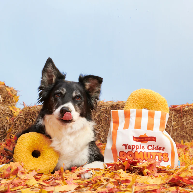 Yapple Cider Domutts Plush Extra-Large + Enrichment + Multi-Part Dog Toy - Image 5
