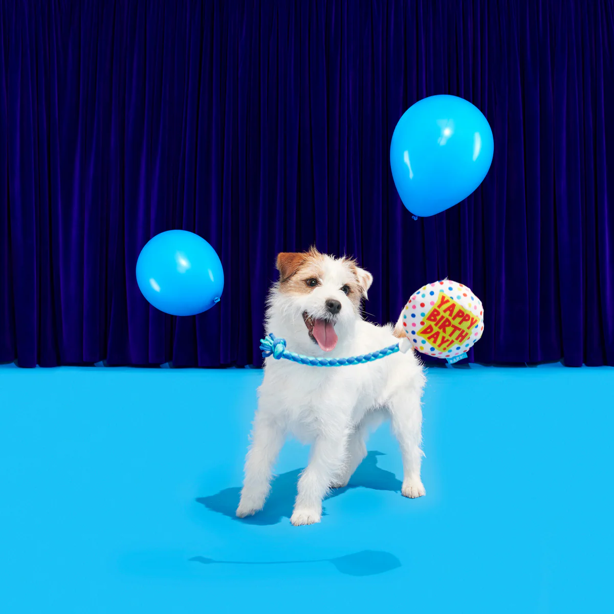 Yappy Birthday Balloon Plush Tug Dog Toy - Image 3