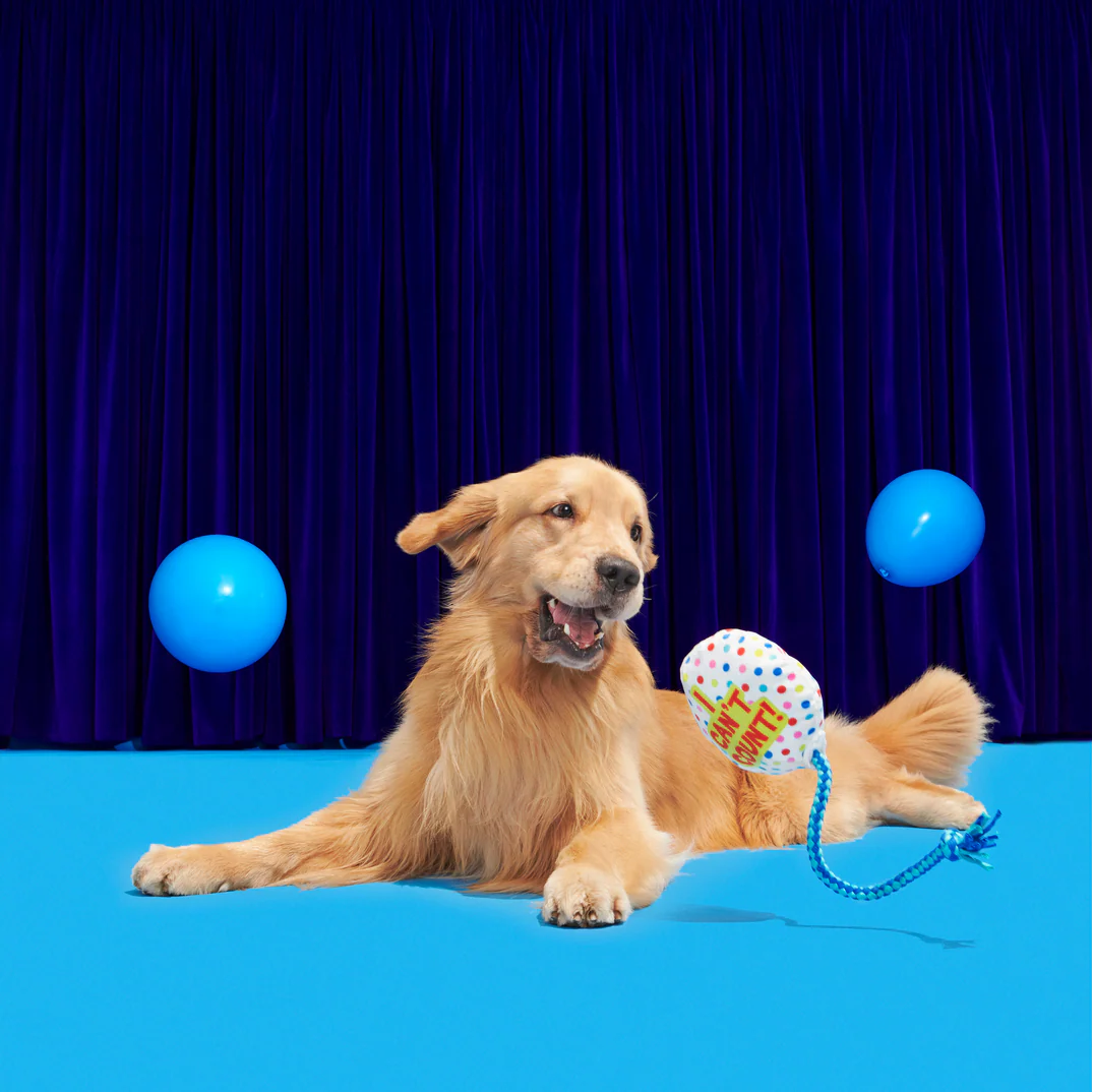 Yappy Birthday Balloon Plush Tug Dog Toy - Image 4