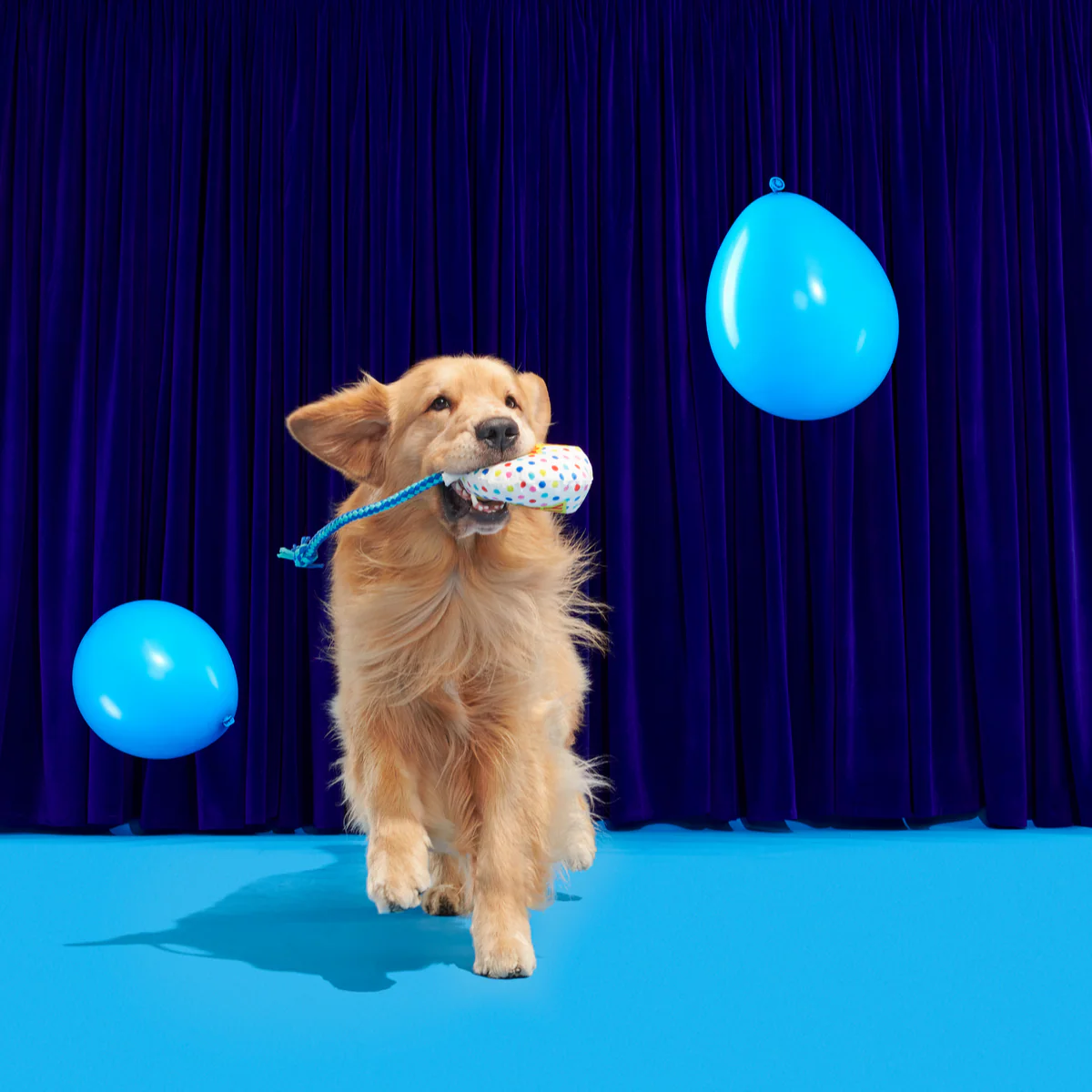 Yappy Birthday Balloon Plush Tug Dog Toy - Image 5