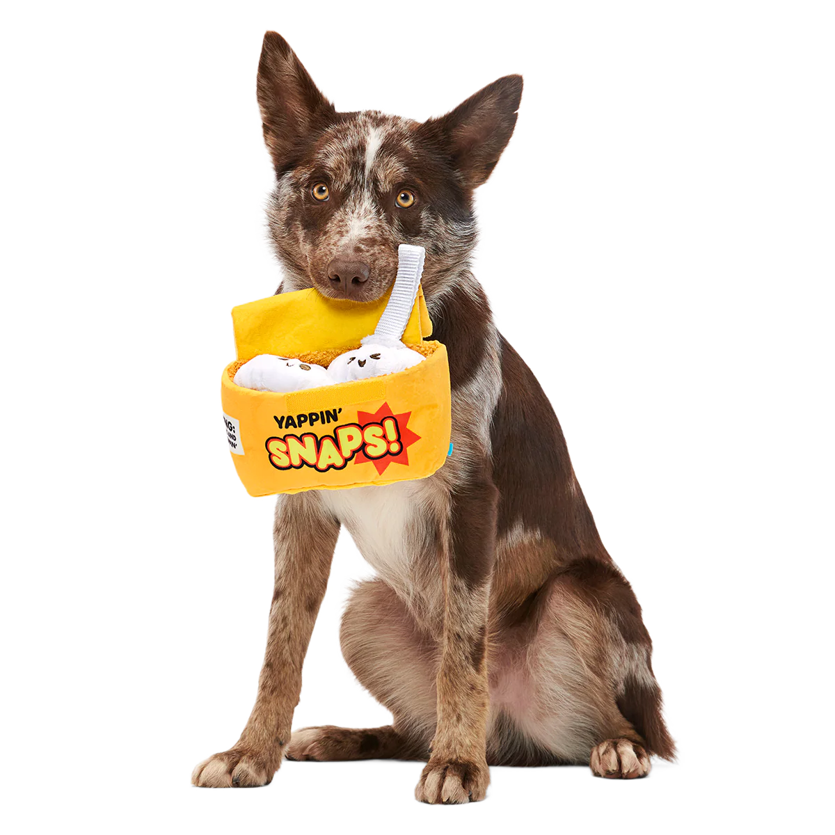 Yappy Snaps Plush Multi-Part Tug Dog Toy - Image 5