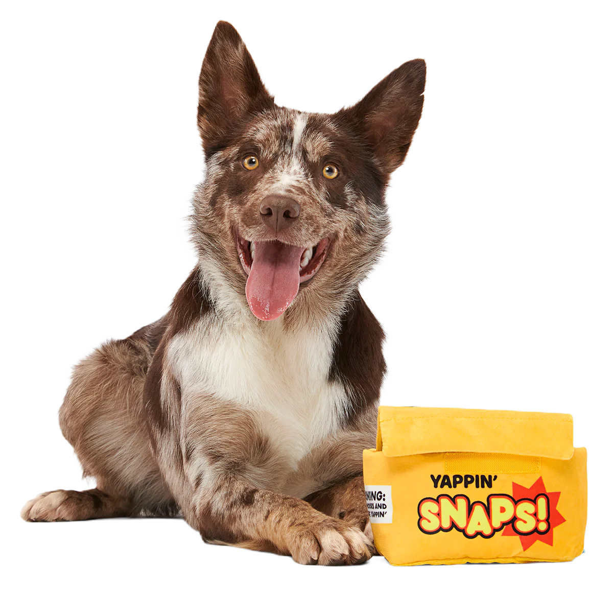 Yappy Snaps Plush Multi-Part Tug Dog Toy - Image 6