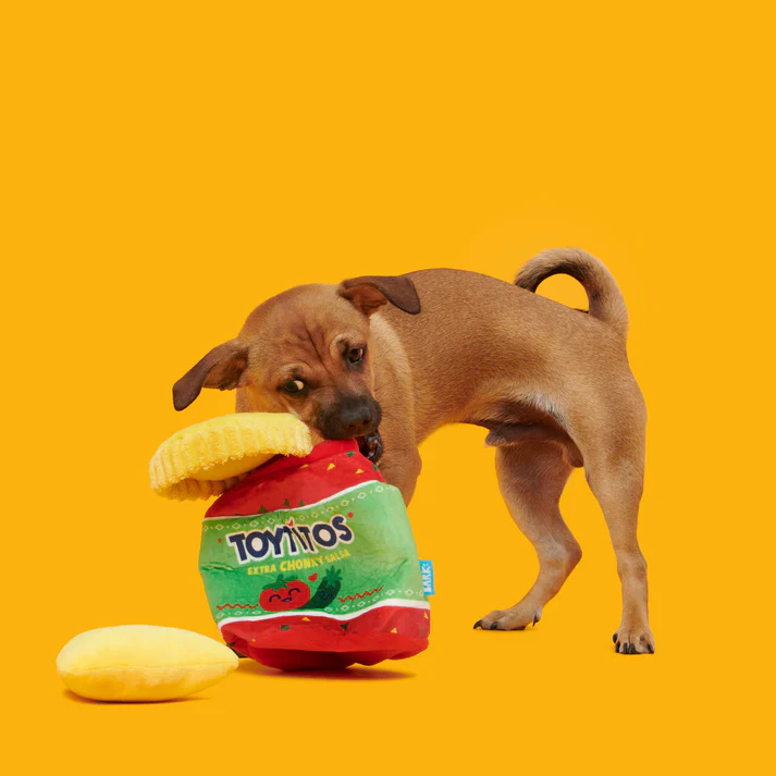 Yip & Salsa Plush Multi-Part Dog Toy - Image 3