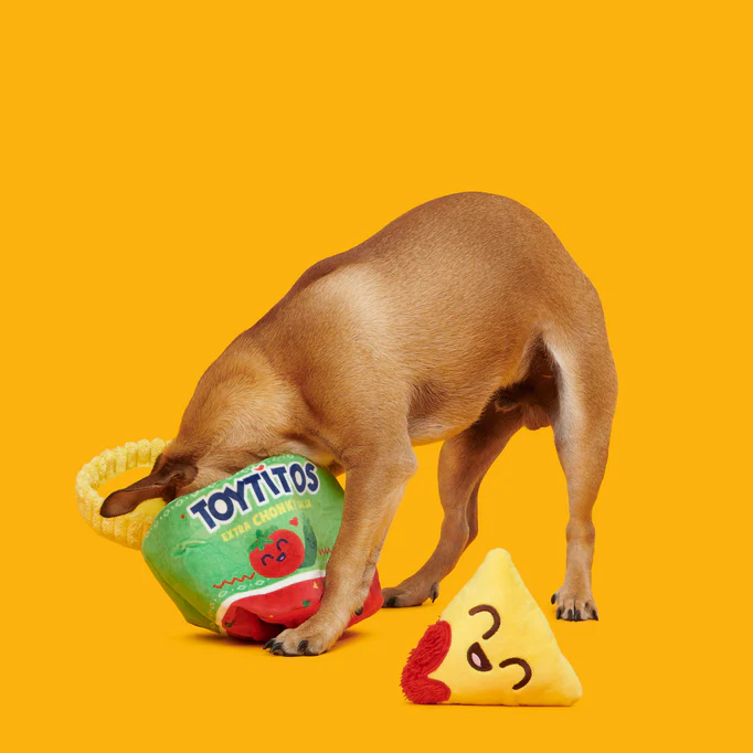 Yip & Salsa Plush Multi-Part Dog Toy - Image 4