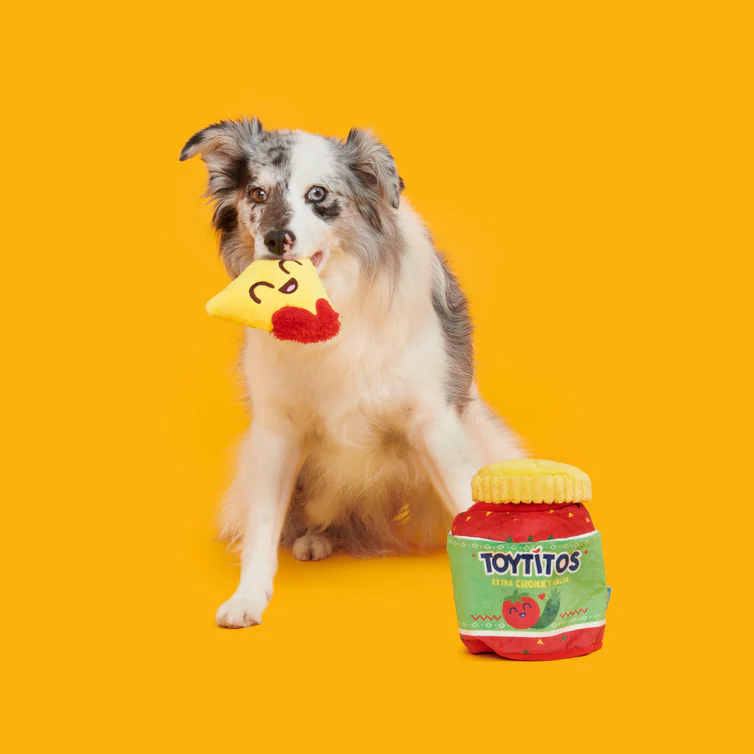 Yip & Salsa Plush Multi-Part Dog Toy - Image 5