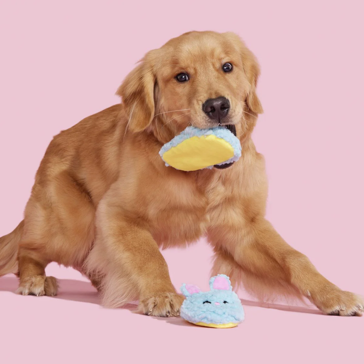 Yippy & Skippy Slippies Plush Multi-Part Dog Toy - Image 3