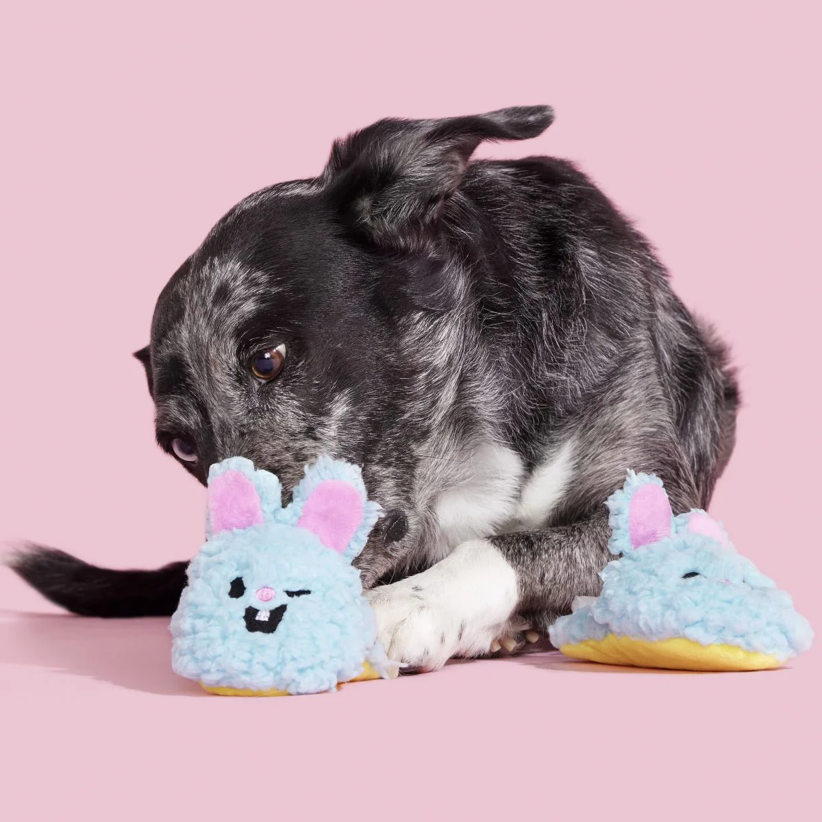 Yippy & Skippy Slippies Plush Multi-Part Dog Toy - Image 4